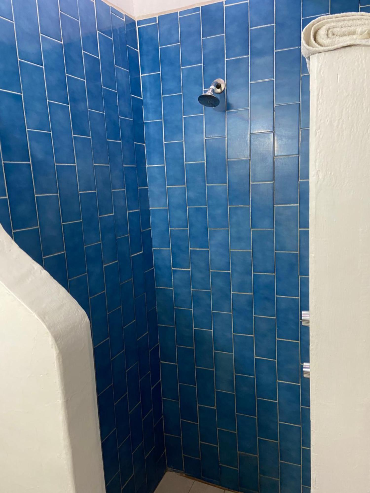 Meson Don Quijote Apartment Ajijic Bagian luar foto